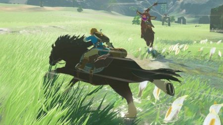  The Legend of Zelda: Breath of the Wild   (Switch)  Nintendo Switch