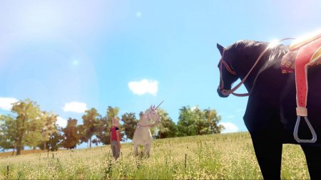  The Unicorn Princess   (PS4) Playstation 4