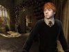 Купить игру Гарри Поттер и Орден Феникса (Harry Potter and the Order of the Phoenix) (PS3) для Sony Playstation 3