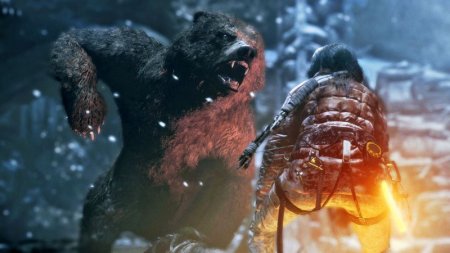 Rise of the Tomb Raider   (PC) 
