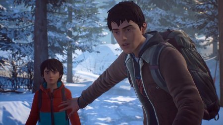 Игра Life is Strange 2 Коллекционное издание (Collector’s Edition) Русская Версия (PS4) Playstation 4