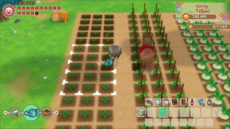 Игра Story of Seasons: Friends of Mineral Town (PS4) Playstation 4