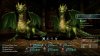 Wizardry: Proving Grounds of the Mad Overlord (PS5)