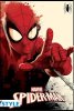 Постер ABYstyle: Дружелюбный сосед Человек-паук (Friendly Neighborhood Spider-Man) Марвел (Marvel) (ABYDCO562) 91,5 см
