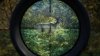 Игра The Hunter: Call of the Wild 2019 Edition Русская Версия (PS4) Playstation 4