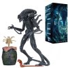  NECA:  (Ultimate Aliens Warrior) (Aliens 1986) blue 20 