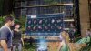 Игра Ark Park (Только для PS VR) (PS4) Playstation 4
