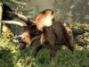   Jurassic The Hunted (PS3)  Sony Playstation 3