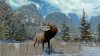 Купить игру Cabela's North American Adventures (PS3) для Sony Playstation 3