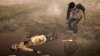 Купить игру Siren Blood Curse (PS3) для Sony Playstation 3
