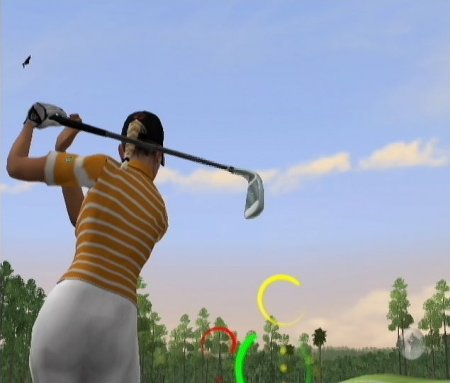 Tiger Woods PGA Tour 06 (PS2)