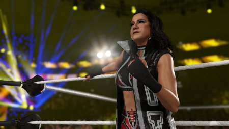 WWE 2K25 Код на загрузку (Switch 2)