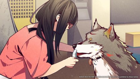 игра Tengoku Struggle: Strayside (Switch) для Nintendo Switch