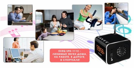 Портативная колонка EXEQ SPK-1112 Чераня 3DS/PS Vita/PSP/PC (PS Vita) для Sony PlayStation Vita