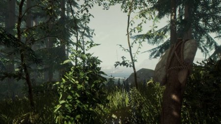  The Forest (PS4) Playstation 4