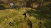 Divinity 2 (II): Ego Draconis (Xbox 360)