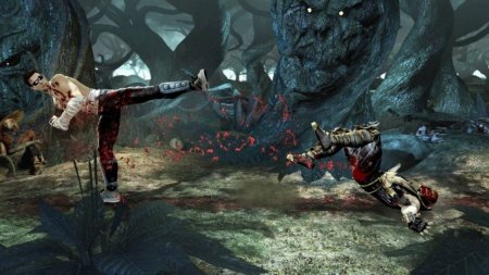   Mortal Kombat (Platinum, Essentials)   3D (PS3) USED /  Sony Playstation 3