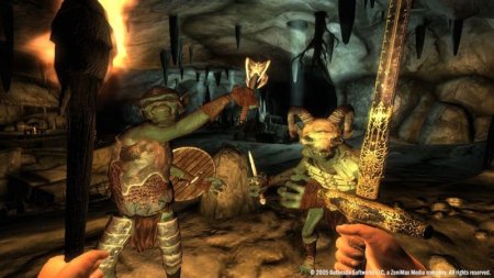The Elder Scrolls 4 (IV): Oblivion Jewel (PC) 