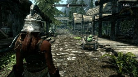 The Elder Scrolls 5 (V): Skyrim Коллекционное издание (Collector’s Edition) с поддержкой kinect (Xbox 360)