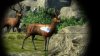 Cabela's Big Game Hunter (Xbox 360)