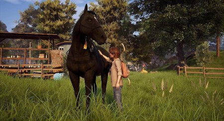 Игра Windstorm: An Unexpected Arrival (PS4) Playstation 4