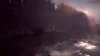 Игра Life is Strange 2 Русская Версия (PS4) Playstation 4