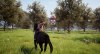 Игра Windstorm: An Unexpected Arrival (PS4) Playstation 4