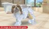 Купить игру Nintendogs + Cats: Карликовый пудель и новые друзья. Русская Версия (Nintendo 3DS) на 3DS