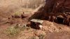 Welcome to ParadiZe Русская Версия (PS5)