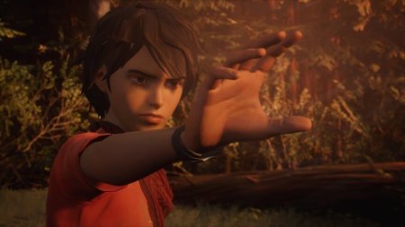 Игра Life is Strange 2 Коллекционное издание (Collector’s Edition) Русская Версия (PS4) Playstation 4