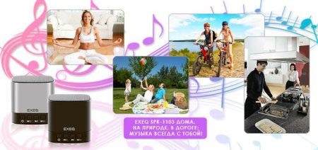 Портативная колонка EXEQ SPK-1103 Серебристая 3DS/PS Vita/PSP/PC (PS Vita) для Sony PlayStation Vita