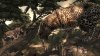 Купить игру Cabela's Dangerous Hunts 2011 + Беспроводное ружьё Elite Gun для PlayStation Move (PS3) для Sony Playstation 3