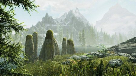 игра The Elder Scrolls 5 (V): Skyrim (Switch) USED Б/У для Nintendo Switch