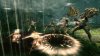 Blades of Time Русская Версия (Xbox 360) USED Б/У
