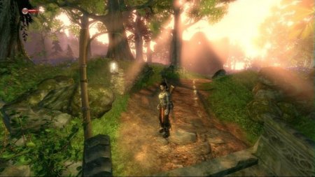 Fable 2 (II).    (Game of the Year Edition)   (Xbox 360/Xbox One)