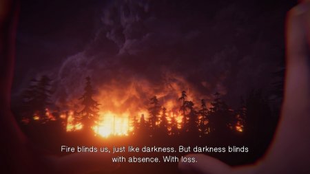 Life is Strange: Before the Storm   Box (PC) 