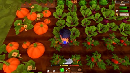 Игра Harvest Life Русская Версия (PS4) Playstation 4