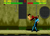 Mortal Kombat 2 (Мортал Комбат 2) Upgrade Русская Версия (16 bit) 