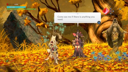 игра Lost Epic (Switch) для Nintendo Switch