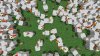 Minecraft +3500 Майнкоинов (+3500 Minecoins) Русская Версия (PS5)