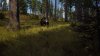 Way of the Hunter Русская Версия (PS5)