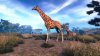 Игра Cabela's African Adventure (PS4) Playstation 4