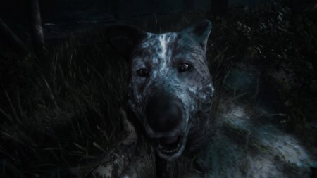 Игра Maid of Sker Русская Версия (PS4) Playstation 4