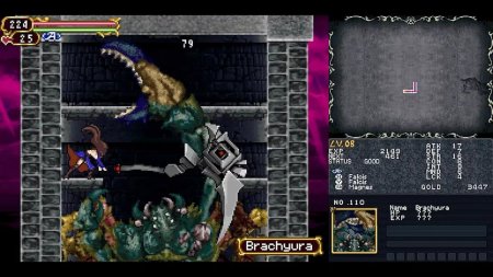 игра Castlevania Dominus Collection (Dawn of Sorrow Cover) (Limited Run#251) (Switch) для Nintendo Switch