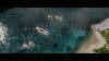 Command and Conquer: Red Alert 3 Русская Версия (XBox 360)