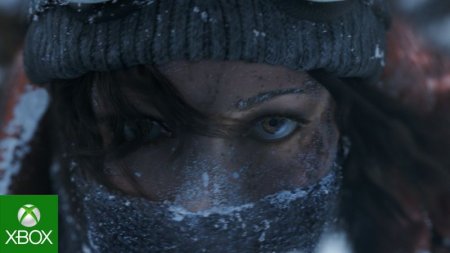 Rise of the Tomb Raider 20-     Box (PC) 