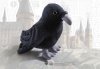  Мягкая игрушка The Noble Collection: Талисман Когтеврана "Ворон" (Ravenclaw Mascot "Raven") Гарри Поттер (Harry Potter) 22 см + Подушка 34 см