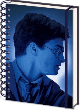  Pyramid:   (Harry Potter)   (Magic Portrait) (3D Cover Wiro Notebooks SR72499) A5