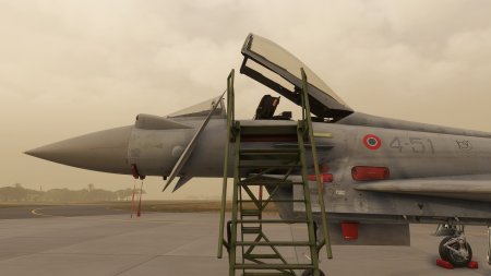 Microsoft Flight Simulator 2024 (PS5)