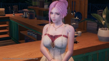 Игра Venus Vacation PRISM DEAD OR ALIVE Xtreme (PS4/PS5) Playstation 4